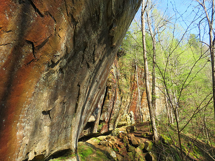 Rock wall